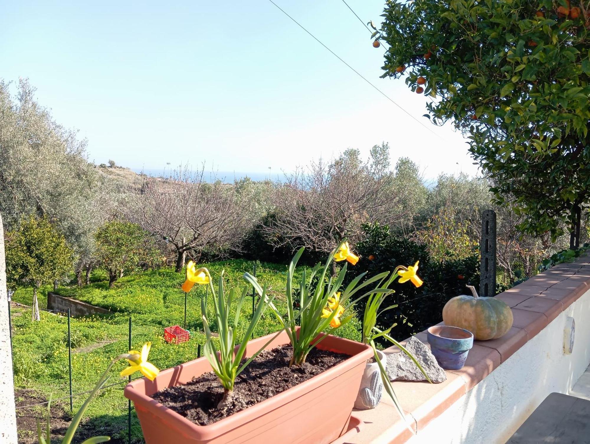 아치카스텔로 Ai Tre Desideri La Casita 빌라 외부 사진