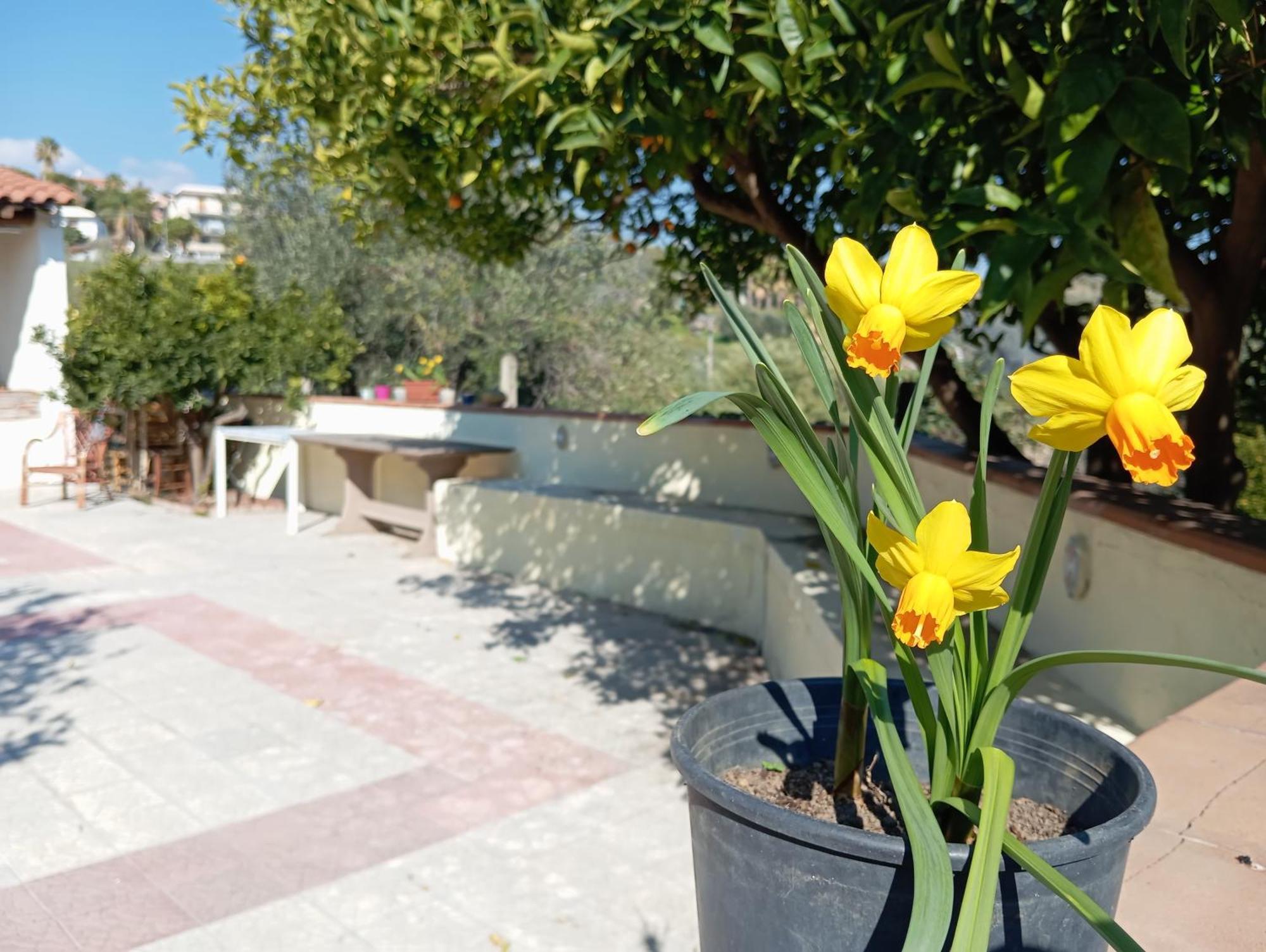 아치카스텔로 Ai Tre Desideri La Casita 빌라 외부 사진