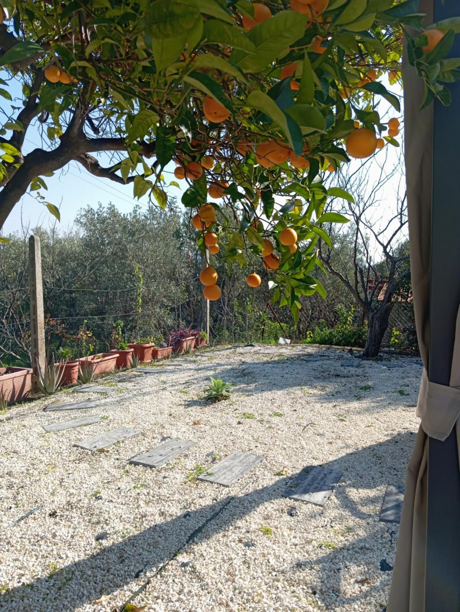 아치카스텔로 Ai Tre Desideri La Casita 빌라 외부 사진
